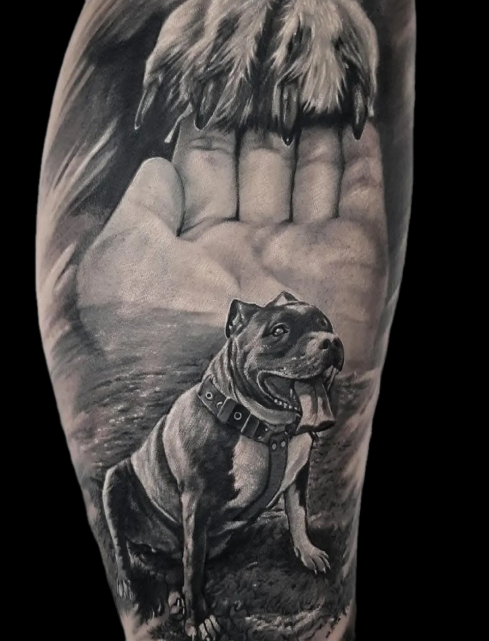 Bulldogge in Hand