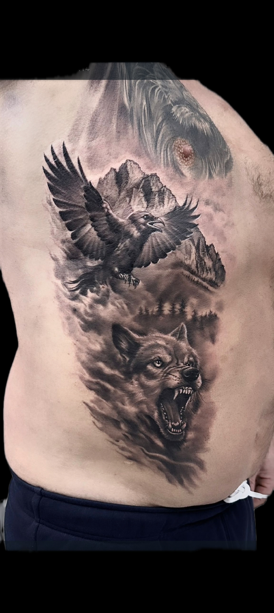 Wildlife - Rabe & Wolf